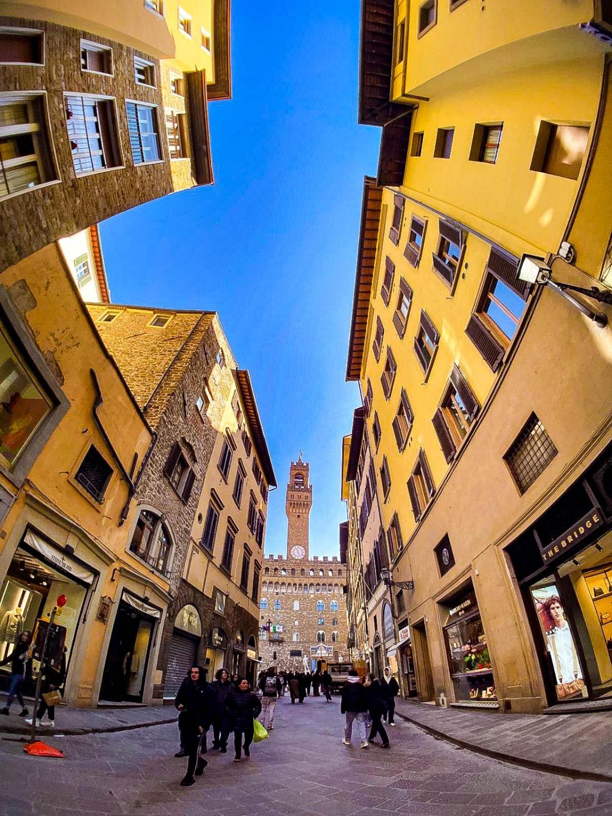 Bellamia Signoria * Florence