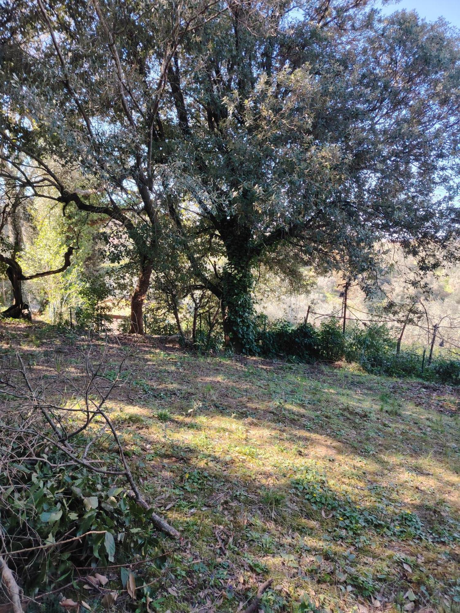 Giardinoterapeuticoinvilla Firenze