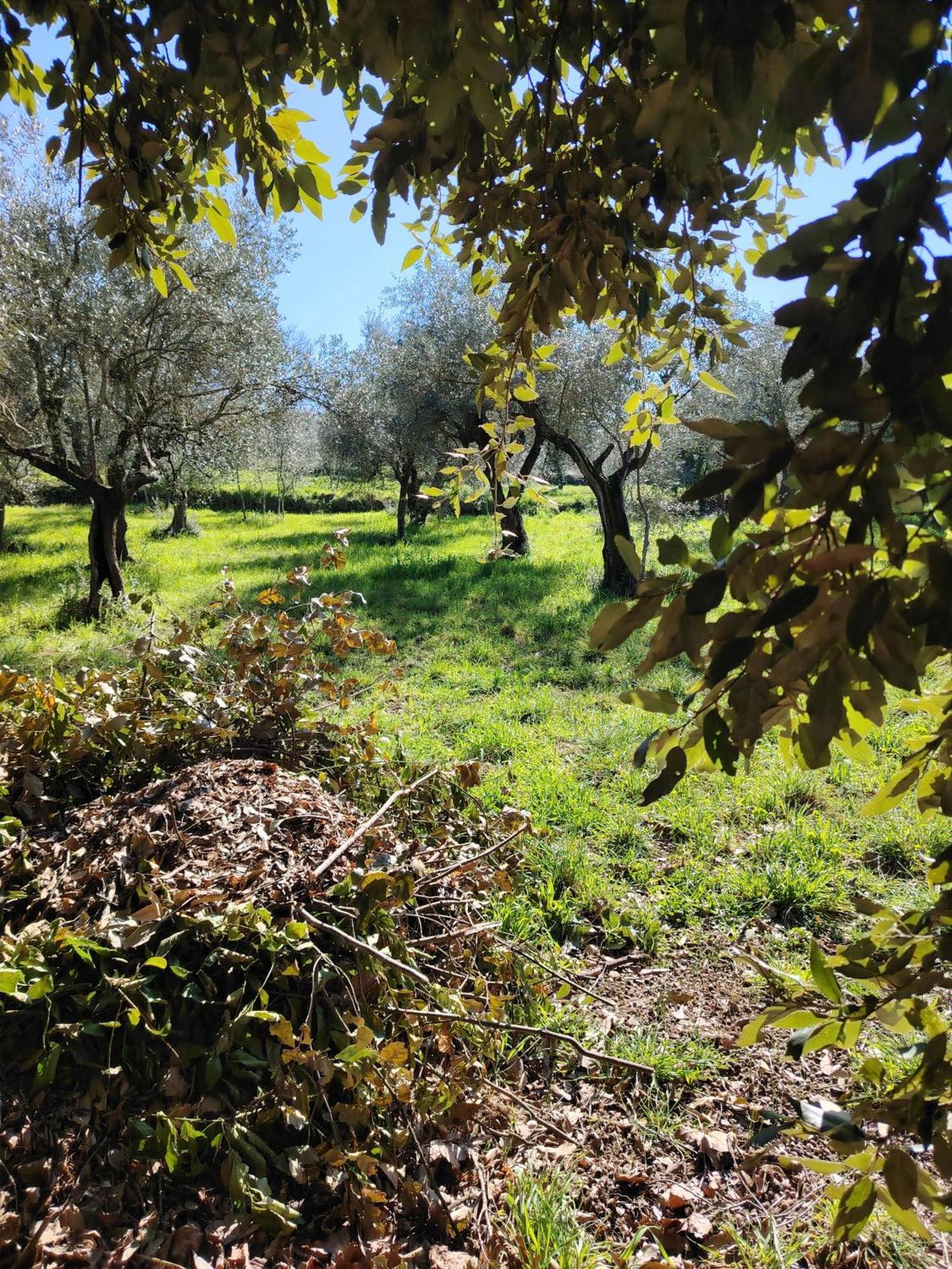 Alloggio per agriturismo Giardinoterapeuticoinvilla