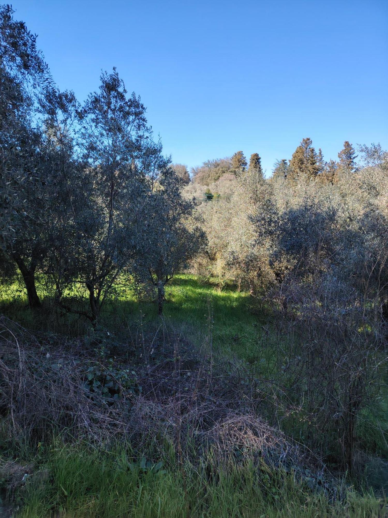 Giardinoterapeuticoinvilla Alloggio per agriturismo *
