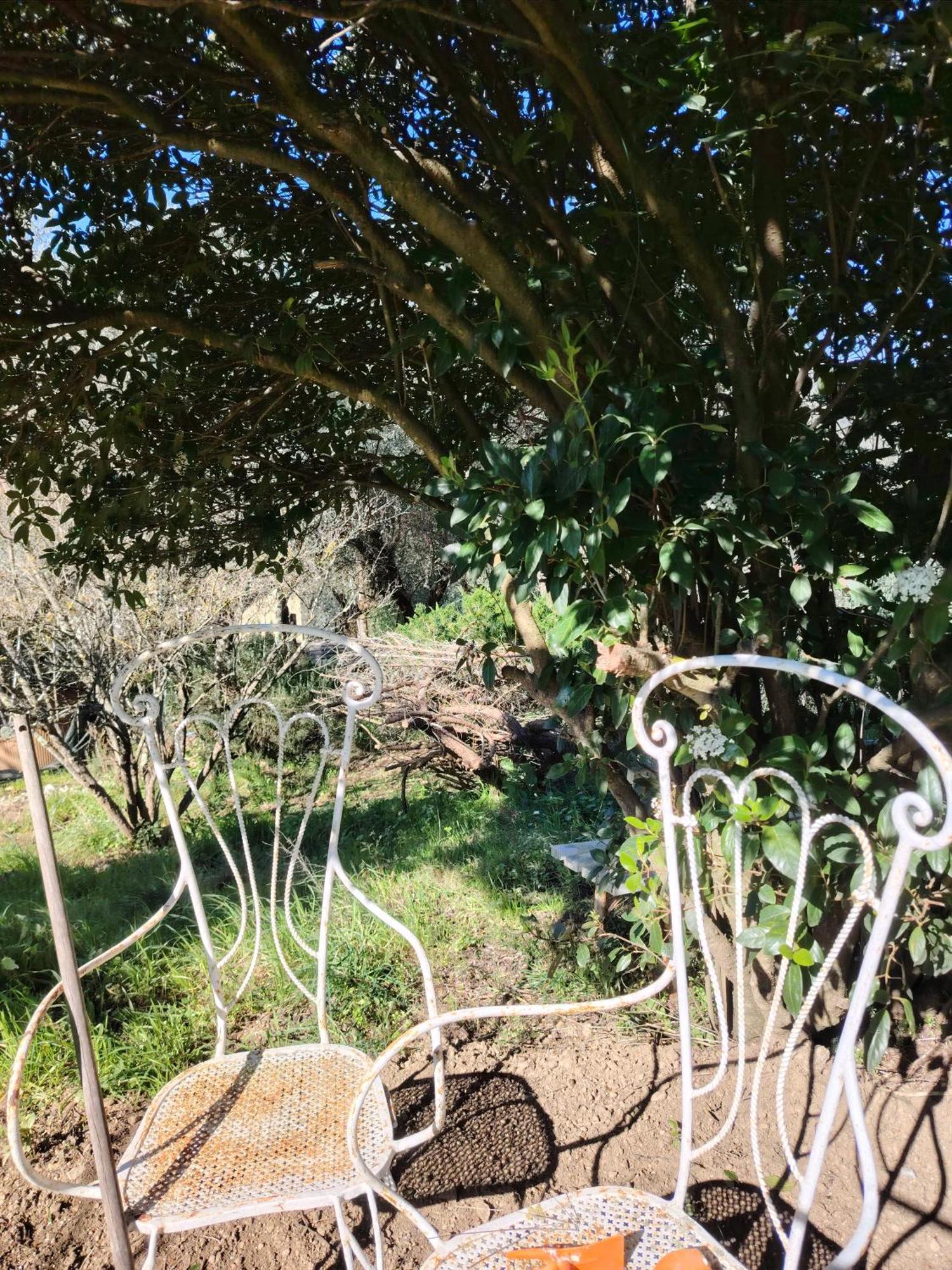 Giardinoterapeuticoinvilla Firenze