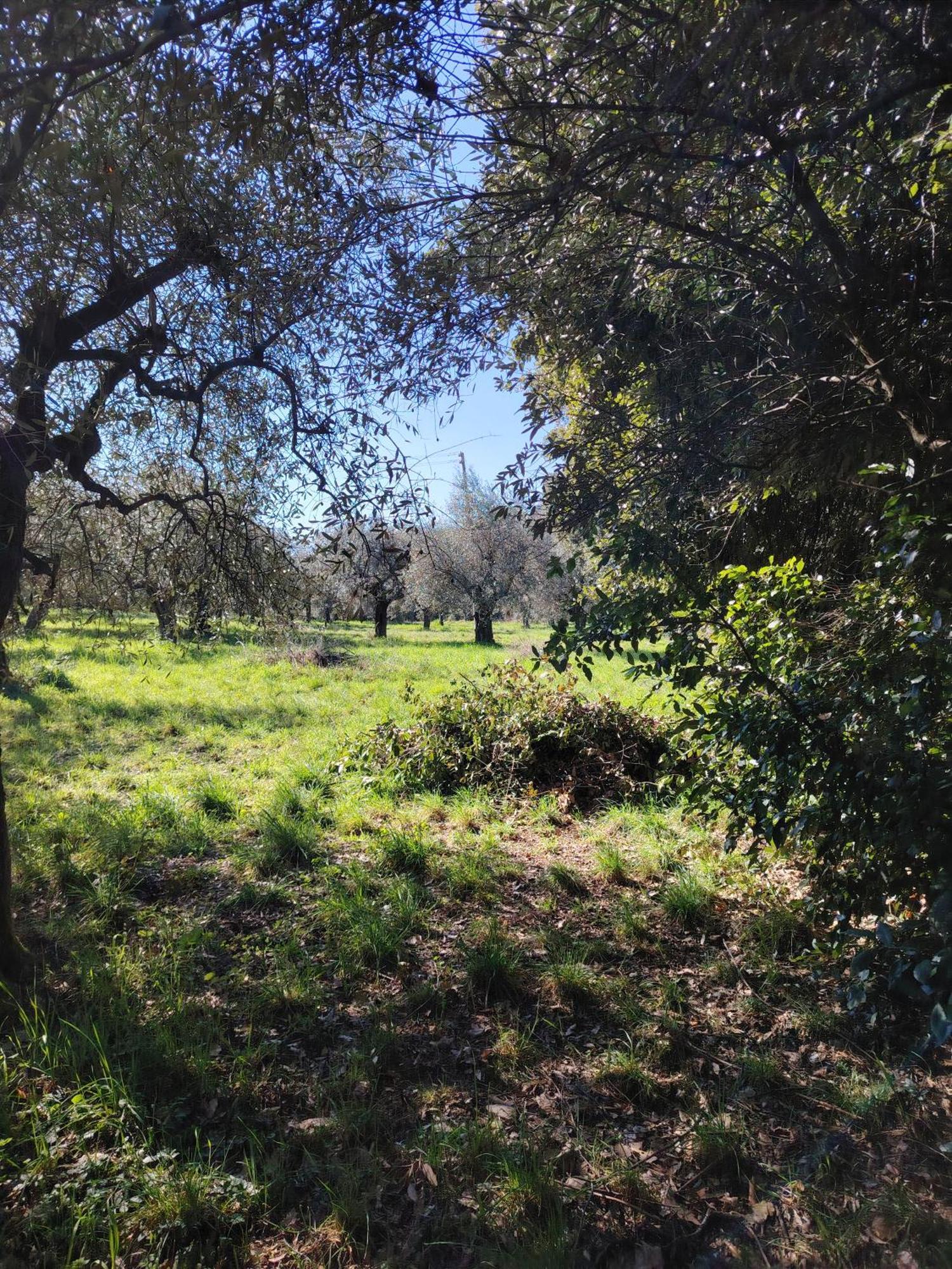 Alloggio per agriturismo Giardinoterapeuticoinvilla