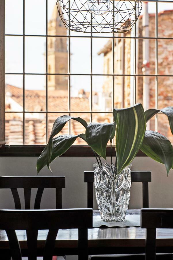 Very Special+views In Front Of Pitti Palace&garden *