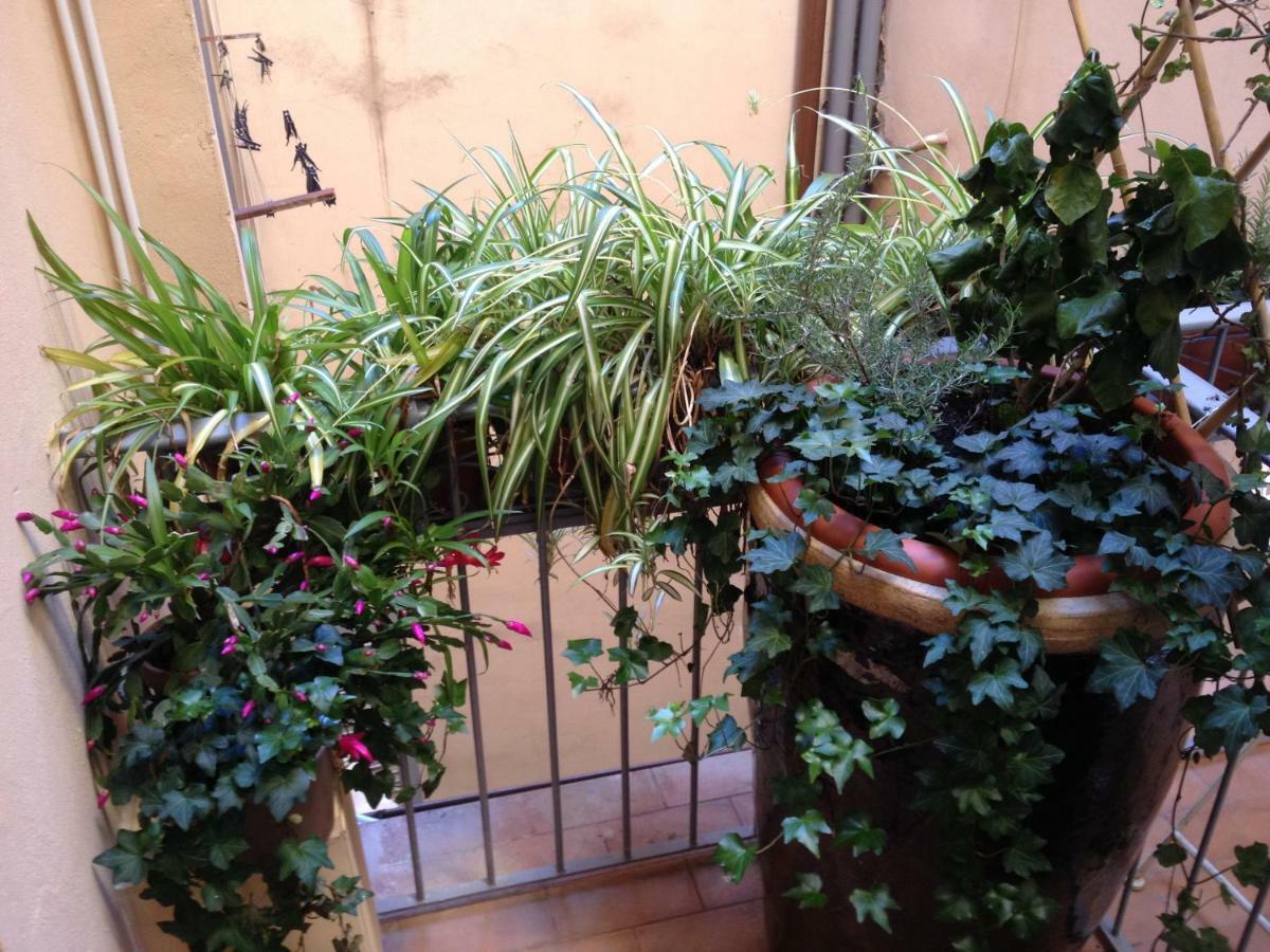 Oasis In The Heart Of Appartamento *