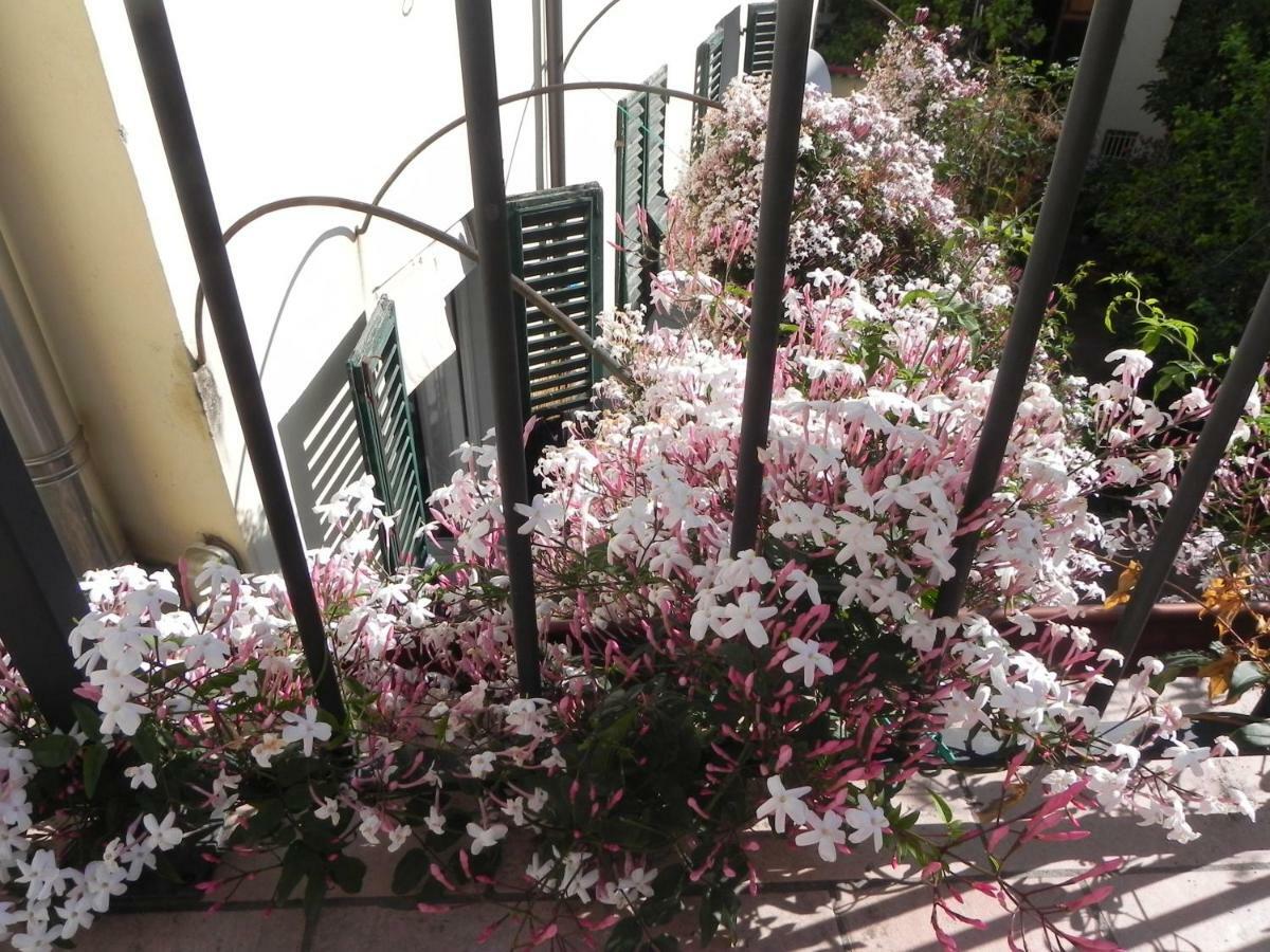 Bed & Breakfast Villino Degli Artisti *
