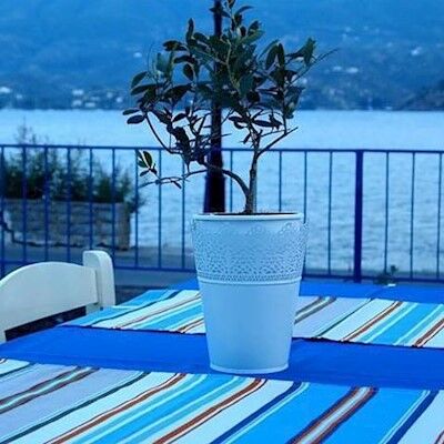 Bed & Breakfast Convitto Della Calza - Casa Per Ferie Florence